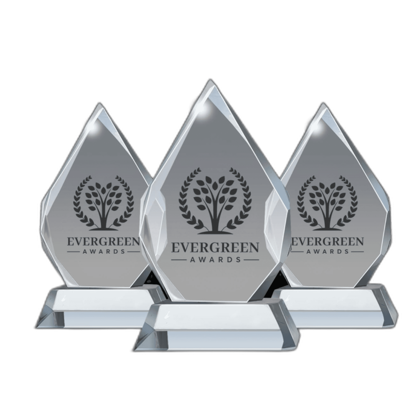 Best Life & Neuro Coach Award